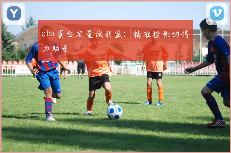 cba蛋白定量试剂盒：精准检测的得力助手